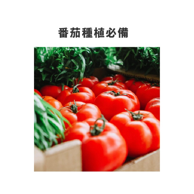 YaraLiva™雅苒｜雅苒福鈣2號肥料｜ YaraLiva NITRABOR｜硼硝酸鈣肥｜蔬菜 、瓜果、花卉適用-細節圖8