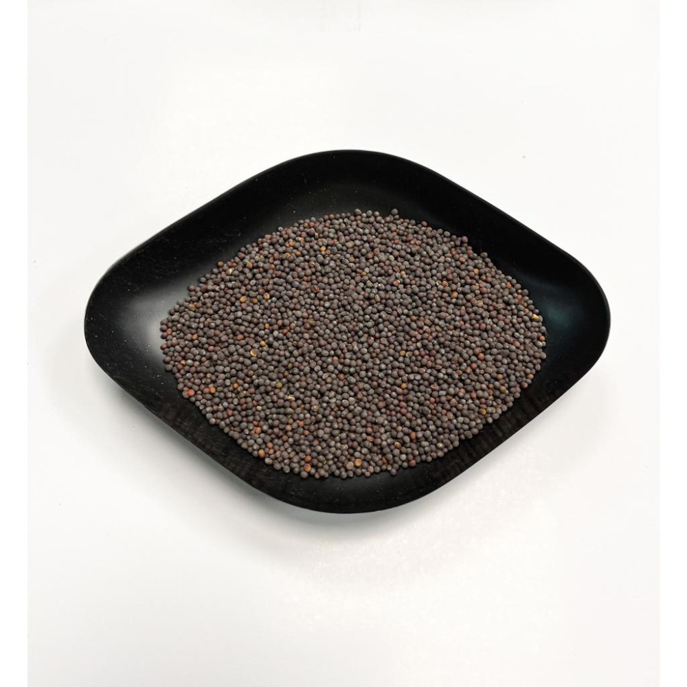 芥菜種子｜長年菜｜包心芥菜｜扁甲芥菜｜無絲甜大菜｜肉甲包心芥菜｜雪裡紅｜客家菜｜蔬菜專業戶｜蔬菜種子｜園藝 ｜-細節圖5