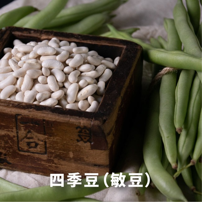 豆類種子大集合｜長豆｜四季豆｜敏豆｜碗豆｜甜豆｜居家種植｜蔬菜專業戶｜蔬菜種子｜園藝 ｜超高發芽率｜開心農場｜-細節圖4