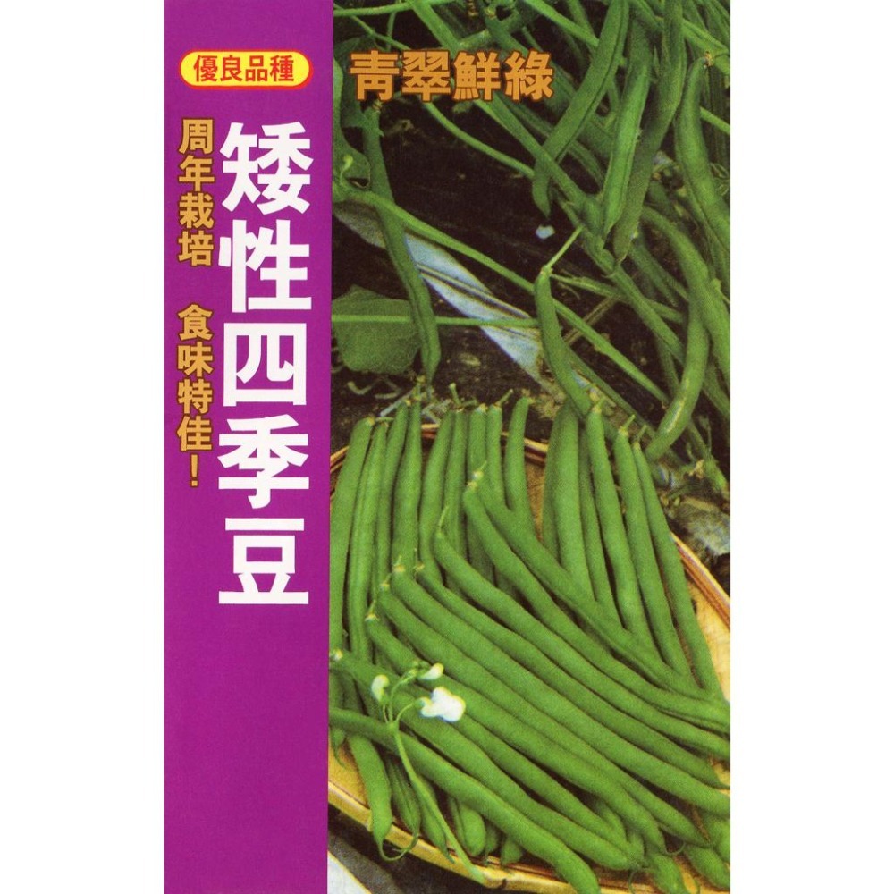 豆類種子大集合｜長豆｜四季豆｜敏豆｜碗豆｜甜豆｜居家種植｜蔬菜專業戶｜蔬菜種子｜園藝 ｜超高發芽率｜開心農場｜-細節圖5