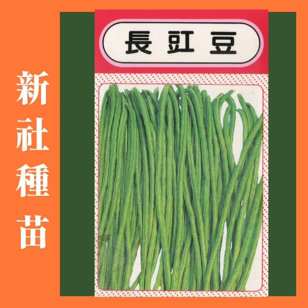 豆類種子大集合｜長豆｜四季豆｜敏豆｜碗豆｜甜豆｜居家種植｜蔬菜專業戶｜蔬菜種子｜園藝 ｜超高發芽率｜開心農場｜-細節圖6