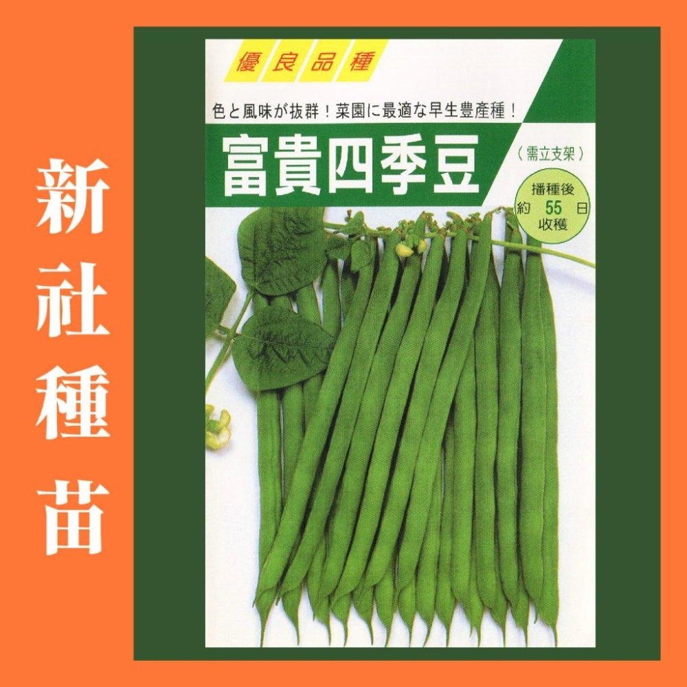 豆類種子大集合｜長豆｜四季豆｜敏豆｜碗豆｜甜豆｜居家種植｜蔬菜專業戶｜蔬菜種子｜園藝 ｜超高發芽率｜開心農場｜-細節圖8