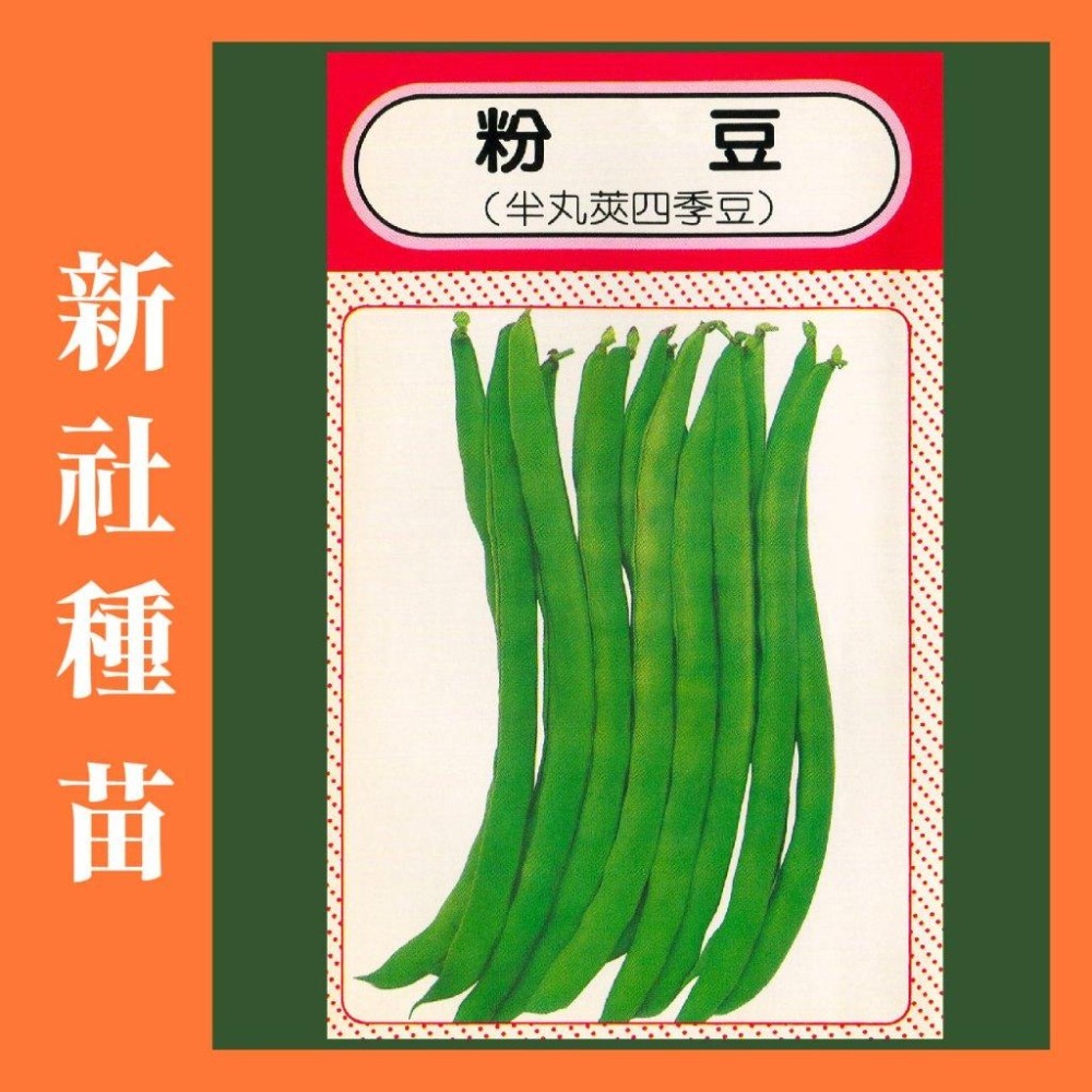 豆類種子大集合｜長豆｜四季豆｜敏豆｜碗豆｜甜豆｜居家種植｜蔬菜專業戶｜蔬菜種子｜園藝 ｜超高發芽率｜開心農場｜-細節圖9