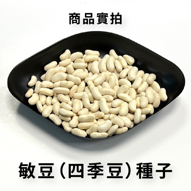 豆類種子大集合｜長豆｜四季豆｜敏豆｜碗豆｜甜豆｜居家種植｜蔬菜專業戶｜蔬菜種子｜園藝 ｜超高發芽率｜開心農場｜-規格圖11