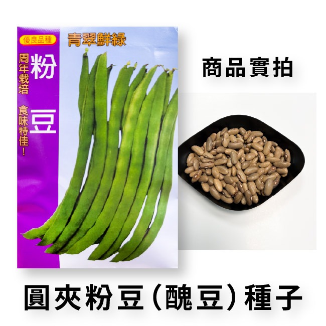 豆類種子大集合｜長豆｜四季豆｜敏豆｜碗豆｜甜豆｜居家種植｜蔬菜專業戶｜蔬菜種子｜園藝 ｜超高發芽率｜開心農場｜-規格圖11