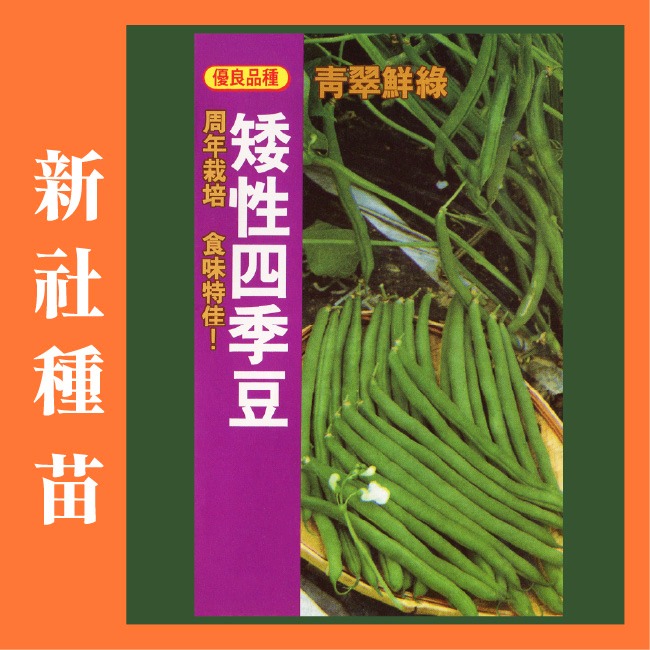 豆類種子大集合｜長豆｜四季豆｜敏豆｜碗豆｜甜豆｜居家種植｜蔬菜專業戶｜蔬菜種子｜園藝 ｜超高發芽率｜開心農場｜-規格圖11
