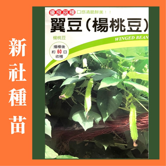 豆類種子大集合｜長豆｜四季豆｜敏豆｜碗豆｜甜豆｜居家種植｜蔬菜專業戶｜蔬菜種子｜園藝 ｜超高發芽率｜開心農場｜-規格圖11