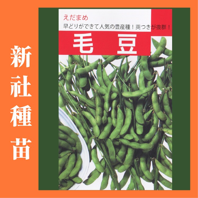 豆類種子大集合｜長豆｜四季豆｜敏豆｜碗豆｜甜豆｜居家種植｜蔬菜專業戶｜蔬菜種子｜園藝 ｜超高發芽率｜開心農場｜-規格圖11