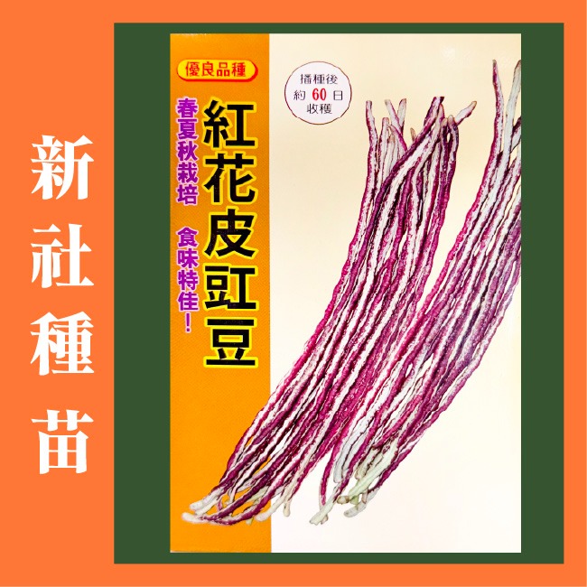 紅花皮長豆 豇豆
