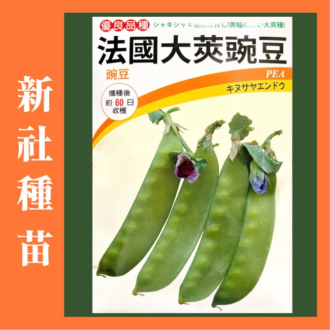 豆類種子大集合｜長豆｜四季豆｜敏豆｜碗豆｜甜豆｜居家種植｜蔬菜專業戶｜蔬菜種子｜園藝 ｜超高發芽率｜開心農場｜-規格圖11