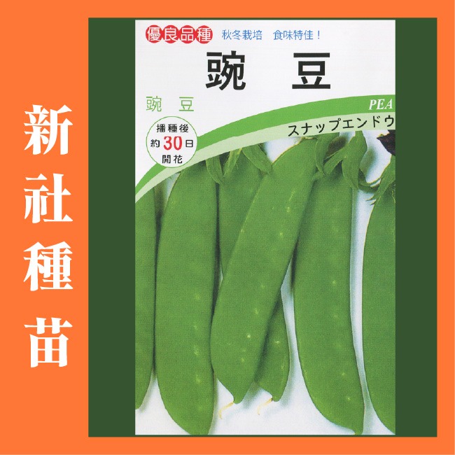 豆類種子大集合｜長豆｜四季豆｜敏豆｜碗豆｜甜豆｜居家種植｜蔬菜專業戶｜蔬菜種子｜園藝 ｜超高發芽率｜開心農場｜-規格圖11