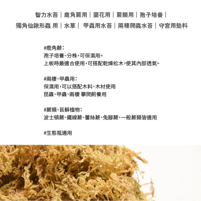 智力水苔｜鹿角蕨用｜蘭花用｜蕨類用｜孢子培養｜獨角仙鍬形蟲 用｜水草｜ 甲蟲用水苔｜兩棲爬蟲水苔｜守宮用墊料-細節圖2
