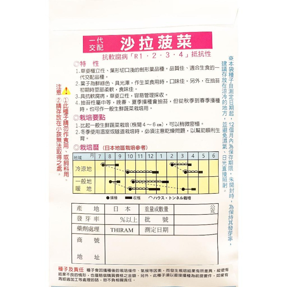 一代交配）沙拉菠菜種子｜適合生食的品種！日本進口種子｜新手入門款｜居家種植｜蔬菜專業戶｜蔬菜種子｜園藝-細節圖3