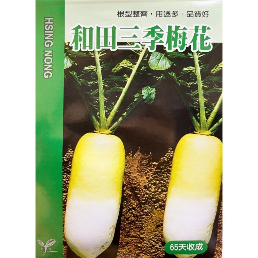 蘿蔔種子大全｜大梅花｜中生蘿蔔｜夏玉蘿蔔｜白玉蘿蔔｜金交蘿蔔｜專業蔬菜種植專用｜開心農場｜蔬菜專業戶｜蔬菜種子｜園藝 ｜-細節圖6