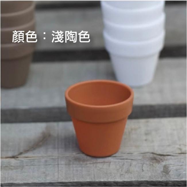 仿陶土盆｜塑膠迷你盆｜多肉盆｜小盆｜米你盆栽｜塑膠小盆｜仙人掌盆｜多肉栽種盆｜小巧盆｜超小盆栽｜-細節圖11
