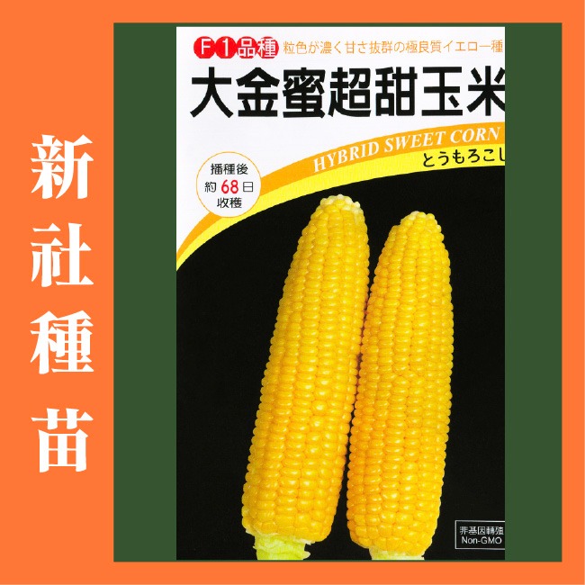 大金蜜2號 超甜玉米種子｜甜玉米種子｜開心農場｜小農種植｜蔬菜專業戶｜蔬菜種子｜園藝 ｜高發芽率｜F1種子-規格圖9
