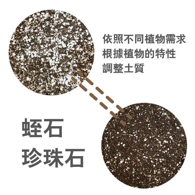 蛭石｜1L  3L｜園藝介質｜乾淨介質｜保水、透氣｜園藝資材｜專業育苗｜室內植物｜-細節圖3