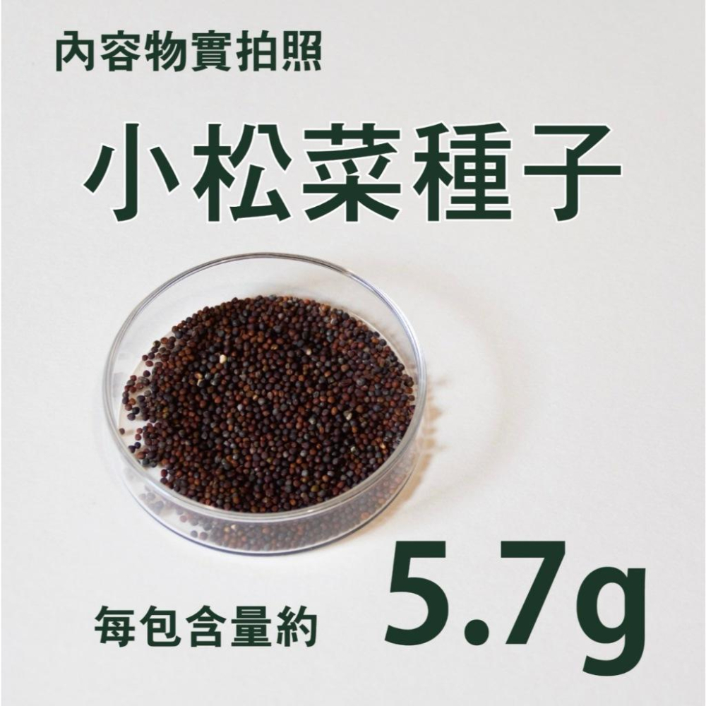 小松菜種子｜專業種子｜30天可採收｜新手入門款｜營養蔬菜｜居家種植｜蔬菜專業戶｜蔬菜種子｜園藝 ｜超高發芽率｜開心農場-細節圖2