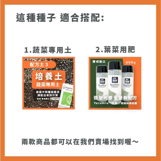 小松菜種子｜專業種子｜30天可採收｜新手入門款｜營養蔬菜｜居家種植｜蔬菜專業戶｜蔬菜種子｜園藝 ｜超高發芽率｜開心農場-細節圖5