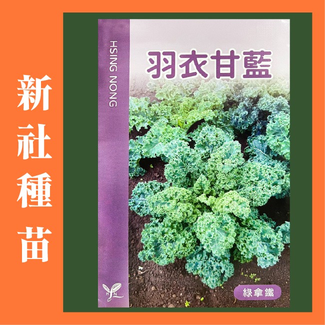 羽衣甘藍種子｜kales | 綠拿鐵自己種，無毒健康｜開心農場｜日常好菜｜居家種植｜蔬菜專業戶｜蔬菜種子｜園藝 ｜-細節圖2