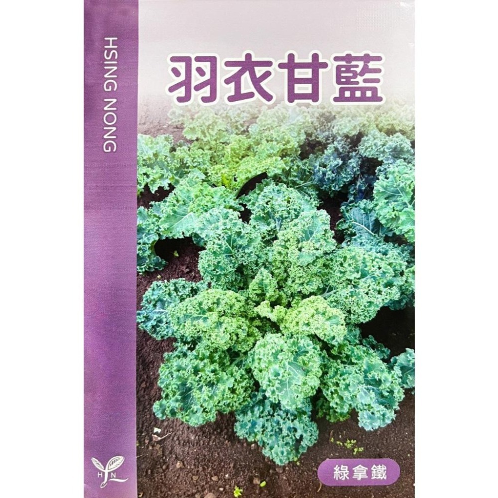 羽衣甘藍種子｜kales | 綠拿鐵自己種，無毒健康｜開心農場｜日常好菜｜居家種植｜蔬菜專業戶｜蔬菜種子｜園藝 ｜-細節圖3