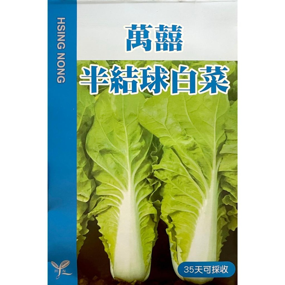 萬囍半結球白菜種子｜全年可種植｜超簡單入門｜開心農場｜日常好菜｜居家種植｜蔬菜專業戶｜蔬菜種子｜園藝 ｜-細節圖2