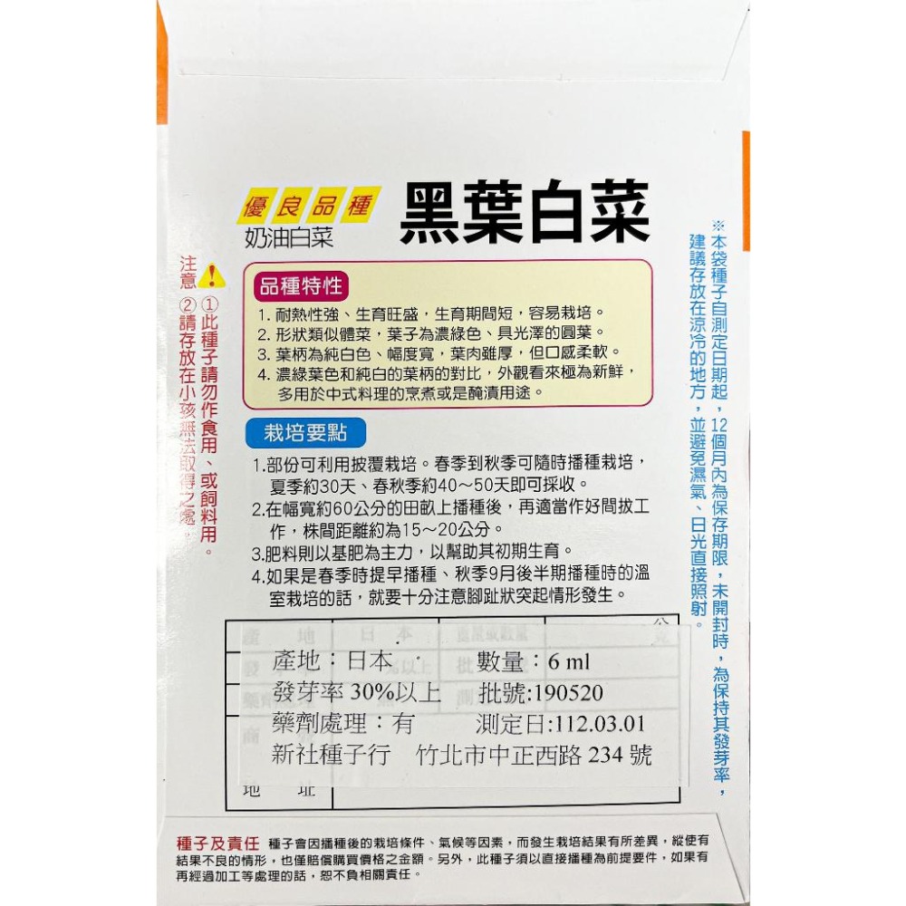 黑葉白菜種子｜白菜｜30～50天可採收｜開心農場｜居家種植｜蔬菜專業戶｜蔬菜種子｜都市農耕｜園藝 ｜-細節圖2