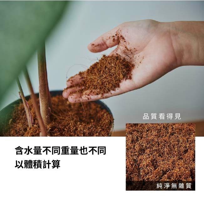 椰纖土｜椰纖土｜ 爛根救星｜乾淨無蟲｜園藝｜觀葉植物｜室內盆栽｜花卉｜土質調整｜保濕透氣-細節圖3