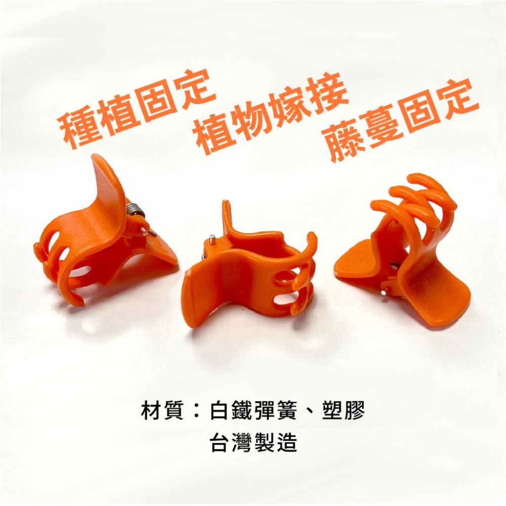 橘色 嫁接夾｜台灣製造｜瓜果夾｜苦瓜夾｜套袋夾｜水果夾｜農業夾子｜絲瓜夾｜花梗夾｜固定夾｜蘭花夾｜果梗夾-細節圖3