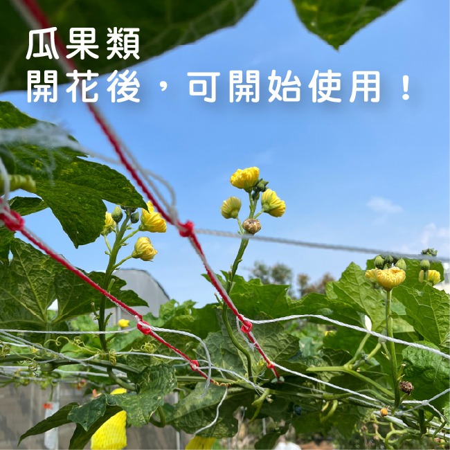 有機質肥料｜花卉、瓜果用｜蔬菜栽培用｜波斯菊用｜薰衣草用｜萬壽菊用｜園藝肥料｜栽配用肥料｜專業使用｜有機質肥｜陽台花園-細節圖9