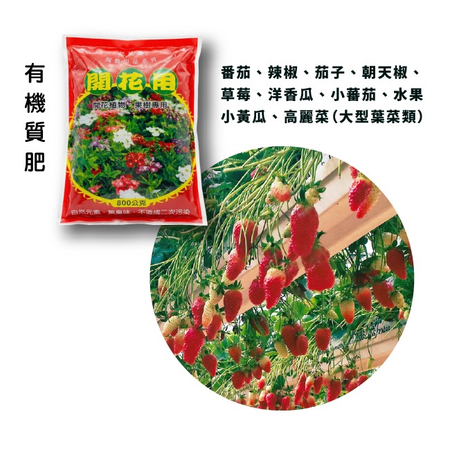 有機質肥料｜花卉、瓜果用｜蔬菜栽培用｜波斯菊用｜薰衣草用｜萬壽菊用｜園藝肥料｜栽配用肥料｜專業使用｜有機質肥｜陽台花園-細節圖11