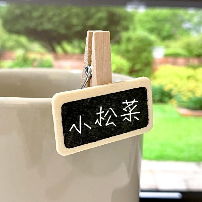 植物名牌大集合｜🔥多件優惠9送 1 ！花牌｜標籤｜植物標籤｜園藝標籤｜花卉標籤｜植物名牌｜多肉植物標籤｜-細節圖2