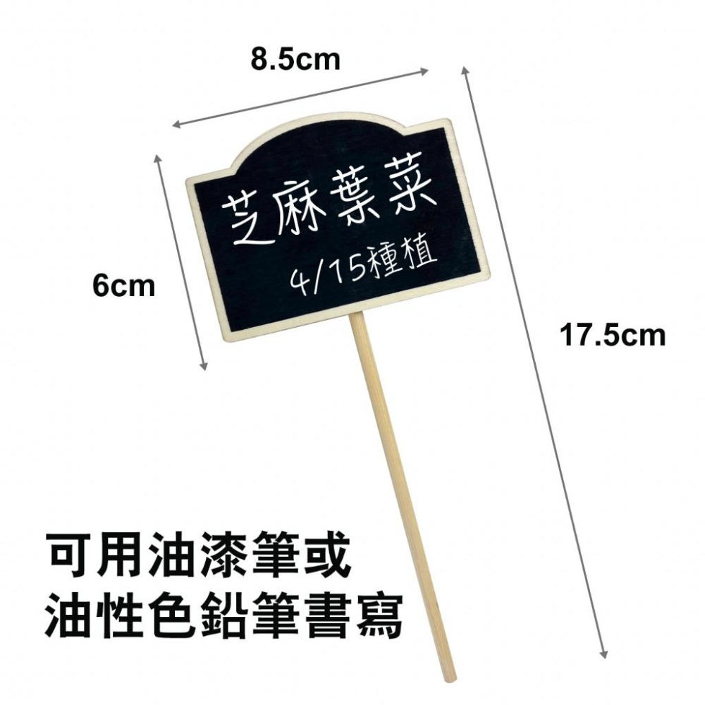 植物名牌大集合｜🔥多件優惠9送 1 ！花牌｜標籤｜植物標籤｜園藝標籤｜花卉標籤｜植物名牌｜多肉植物標籤｜-細節圖4