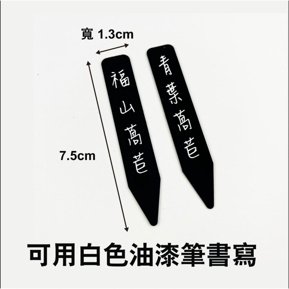 植物名牌大集合｜🔥多件優惠9送 1 ！花牌｜標籤｜植物標籤｜園藝標籤｜花卉標籤｜植物名牌｜多肉植物標籤｜-細節圖5