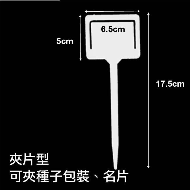 植物名牌大集合｜🔥多件優惠9送 1 ！花牌｜標籤｜植物標籤｜園藝標籤｜花卉標籤｜植物名牌｜多肉植物標籤｜-細節圖8