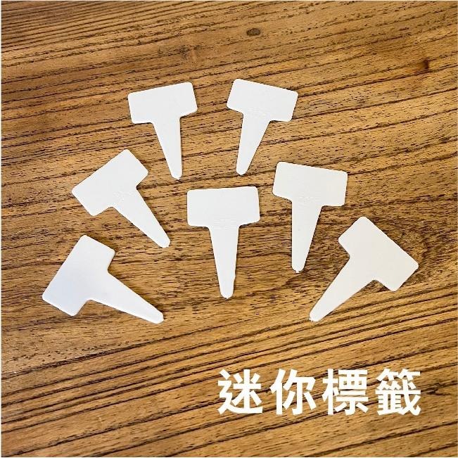 植物名牌大集合｜🔥多件優惠9送 1 ！花牌｜標籤｜植物標籤｜園藝標籤｜花卉標籤｜植物名牌｜多肉植物標籤｜-細節圖9