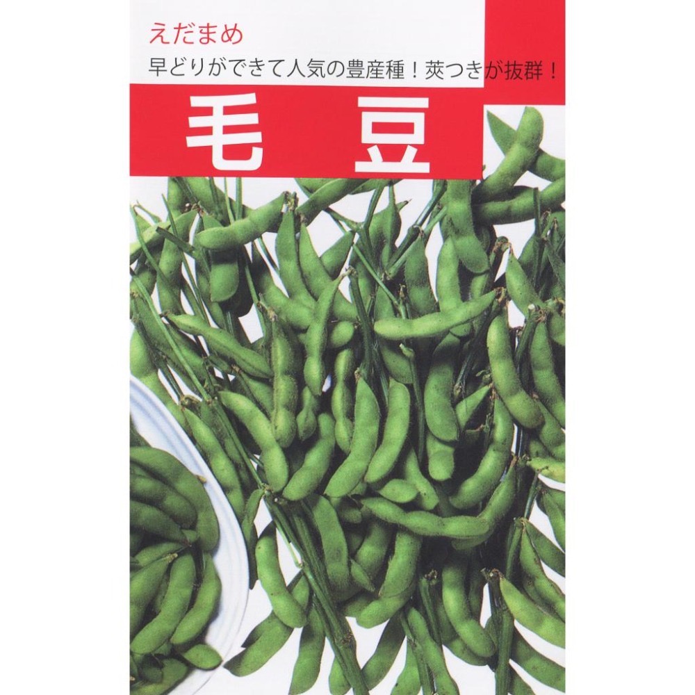毛豆種子｜約70天即可收成｜開心農場｜日常好菜｜居家種植｜蔬菜專業戶｜蔬菜種子｜園藝 ｜開心農場｜簡單上手-細節圖2