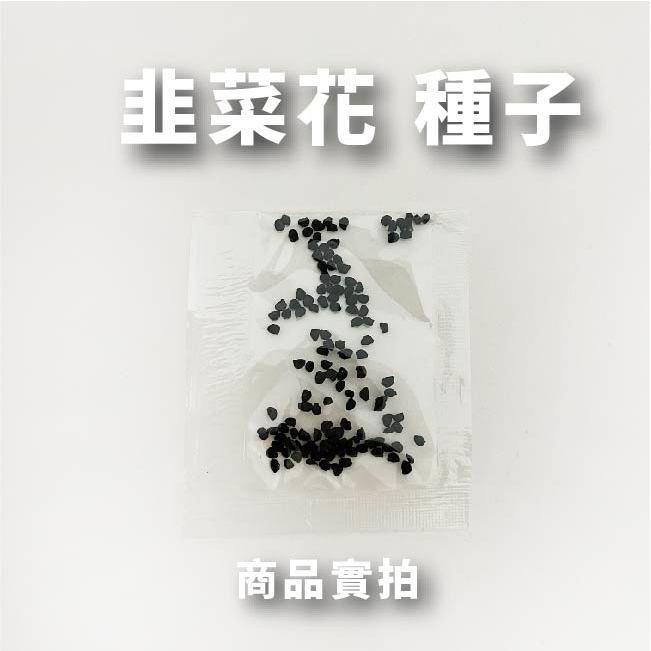韭菜花種子｜全年可種｜四季年花｜居家種植｜蔬菜專業戶｜蔬菜種子｜園藝 ｜良好發芽率-細節圖4