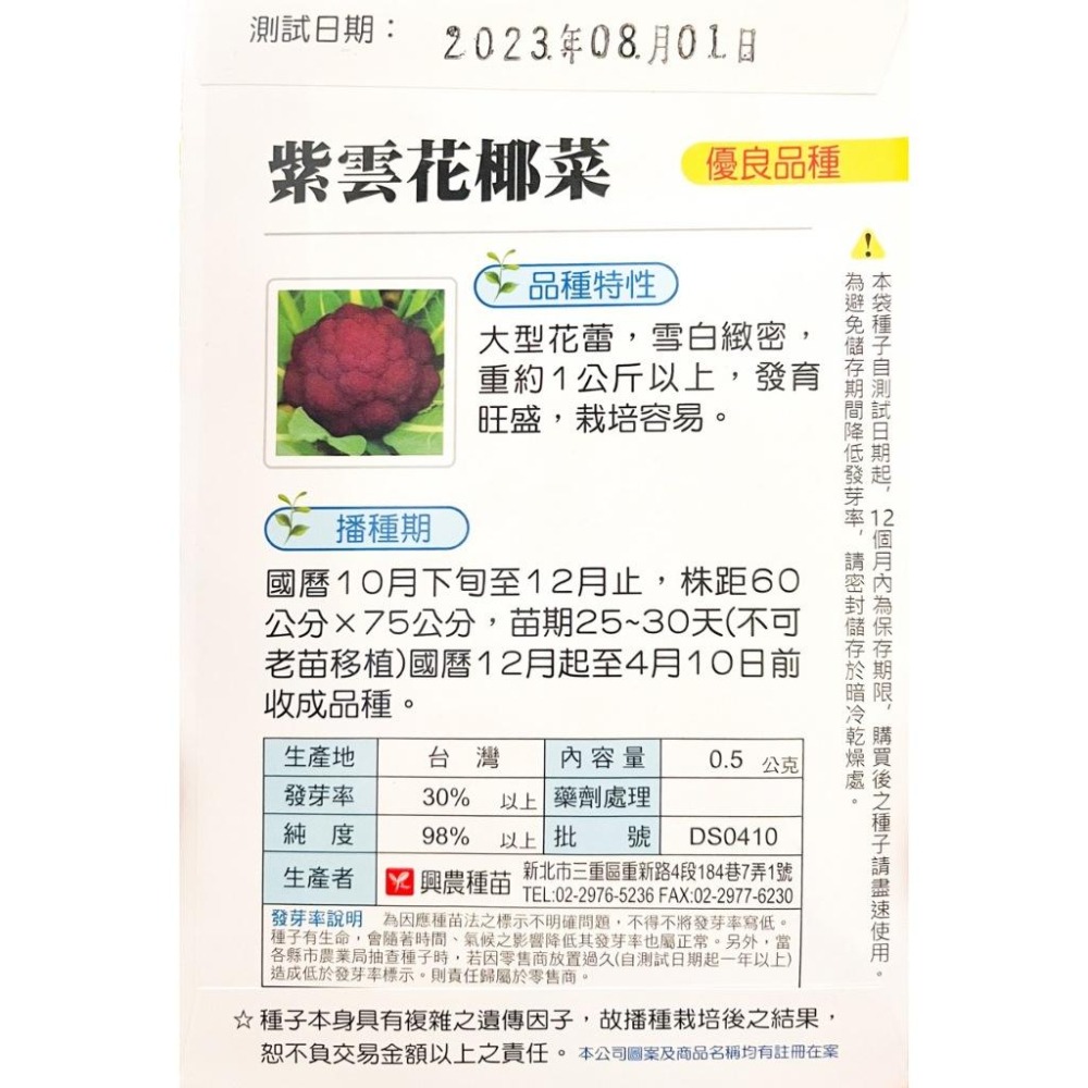 紫雲花椰種子｜紫色花椰菜｜專業種｜日常好菜｜居家種植｜蔬菜專業戶｜蔬菜種子｜園藝｜-細節圖3