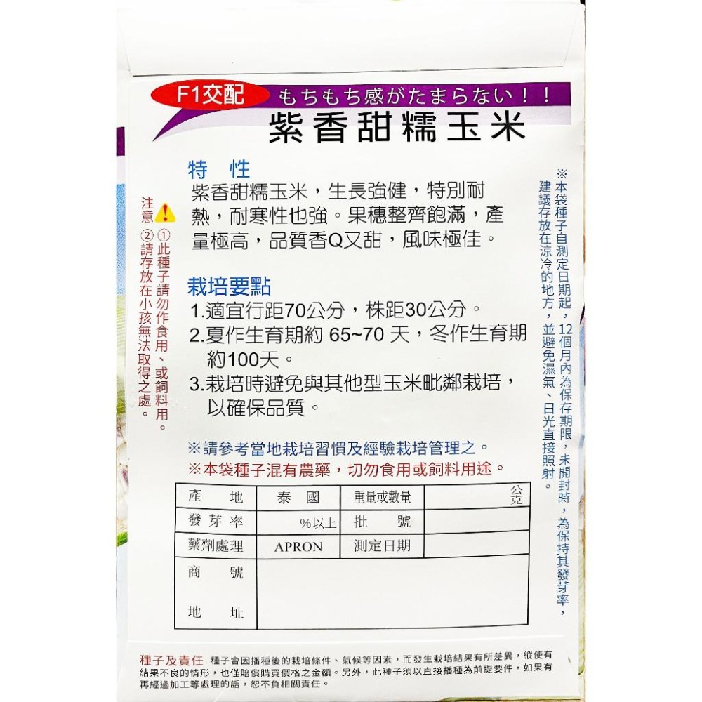 紫香甜糯玉米種子｜糯玉米種子｜開心農場｜小農種植｜蔬菜專業戶｜蔬菜種子｜園藝 ｜高發芽率-細節圖3