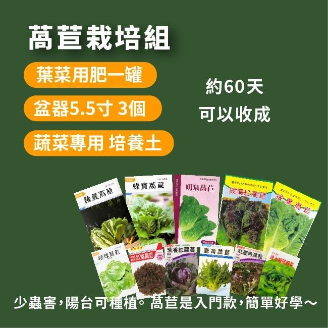新手奶油萵苣栽培組( 種子需另購 )｜蔬菜栽培組｜生菜栽培組｜栽種組合｜學校用栽培組｜開心農場｜蔬菜專門｜專業器-細節圖3