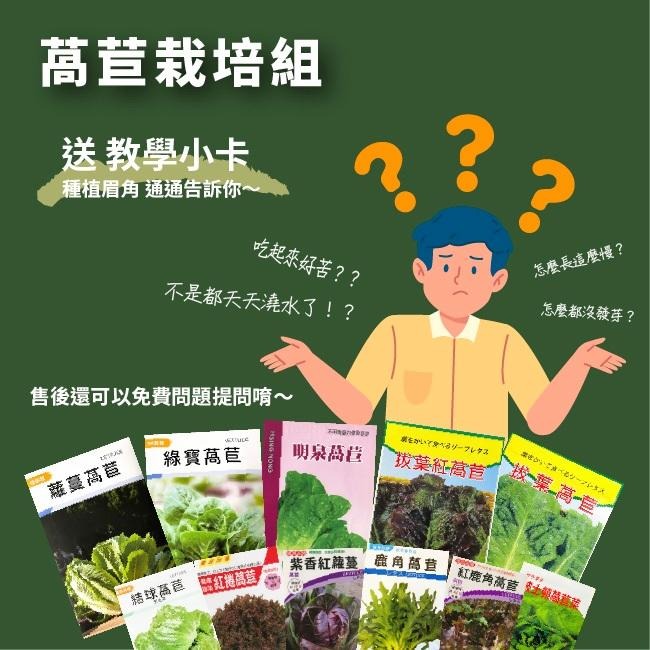 新手奶油萵苣栽培組( 種子需另購 )｜蔬菜栽培組｜生菜栽培組｜栽種組合｜學校用栽培組｜開心農場｜蔬菜專門｜專業器-細節圖4