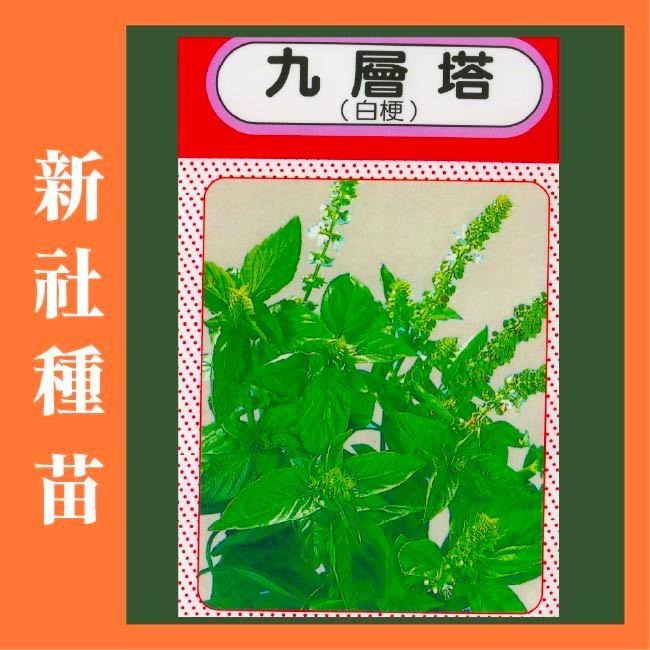 九層塔種子｜120天採收｜日本進口種子｜居家種植｜蔬菜專業戶｜蔬菜種子｜園藝 ｜超高發芽率｜-細節圖2