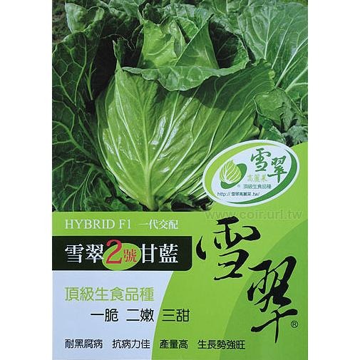 雪翠高麗菜種子｜高麗菜種子｜脆甜口感｜一代交配｜開心農場｜｜居家種植｜蔬菜專業戶｜蔬菜種子｜園藝 ｜專業種植｜-細節圖2