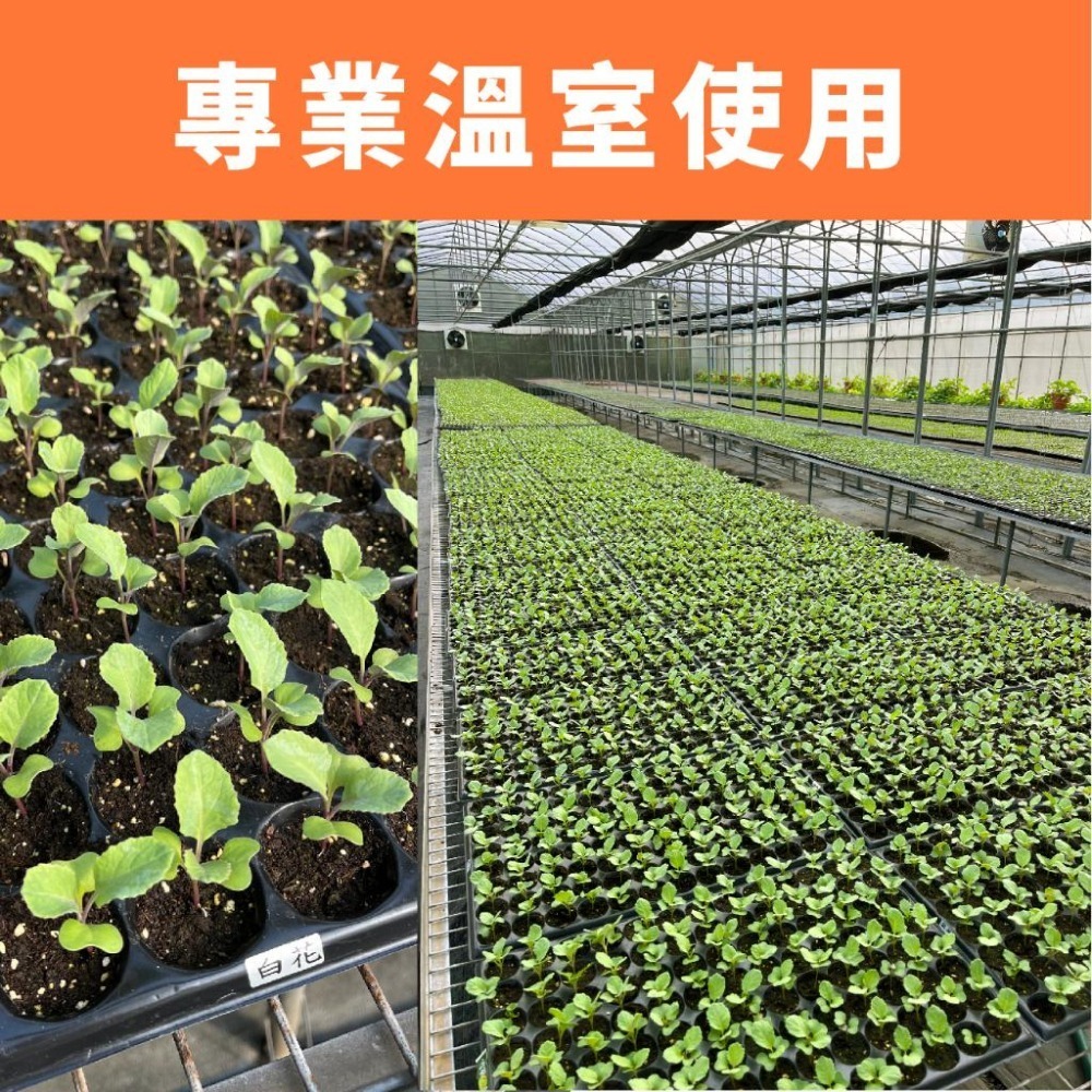 栽培土｜泥炭苔土｜乾淨無蟲｜蔬菜土｜栽培土｜營養土｜育苗介質｜高有機質｜觀葉植物介質｜已除蟲土質乾淨｜栽培介質｜配方土-細節圖6