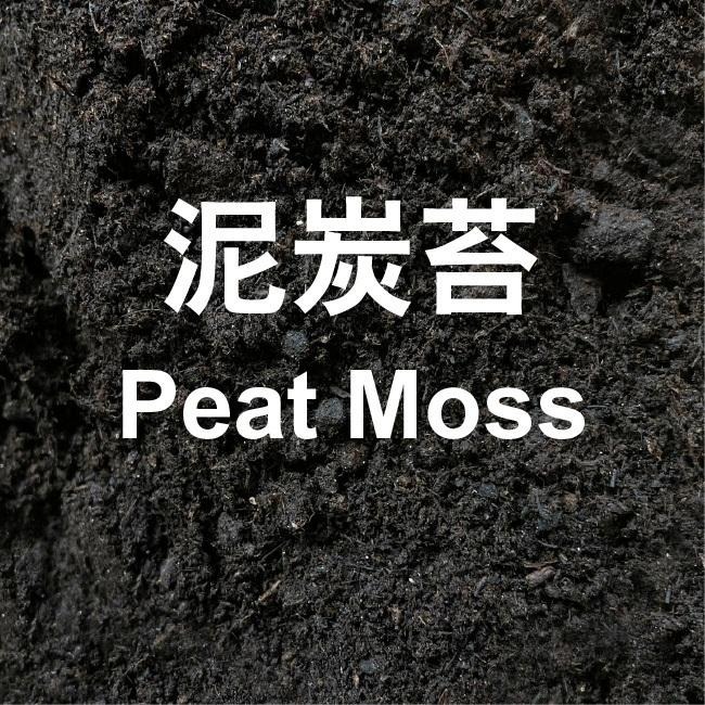 栽培土｜泥炭苔土｜乾淨無蟲｜蔬菜土｜栽培土｜營養土｜育苗介質｜高有機質｜觀葉植物介質｜已除蟲土質乾淨｜栽培介質｜配方土-細節圖9