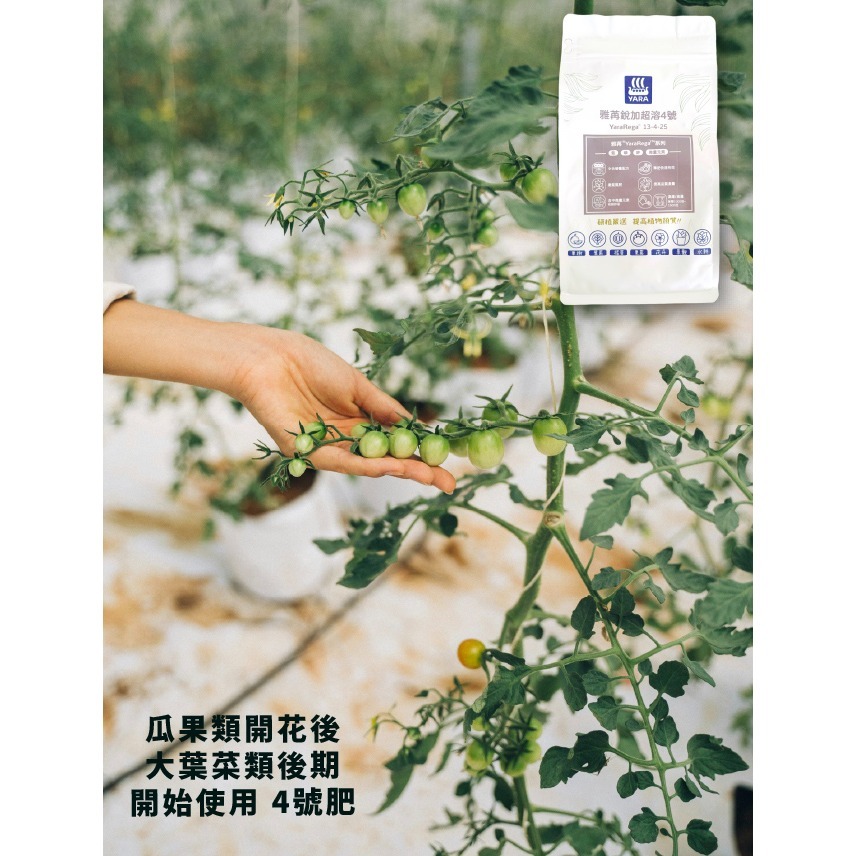 瓜果類水耕肥｜專業水耕肥料｜芬蘭進口｜水溶性肥料｜DIY水耕｜專業水耕｜泡2噸水的量｜專業使用｜我在陽台種菜｜室內栽培-細節圖4