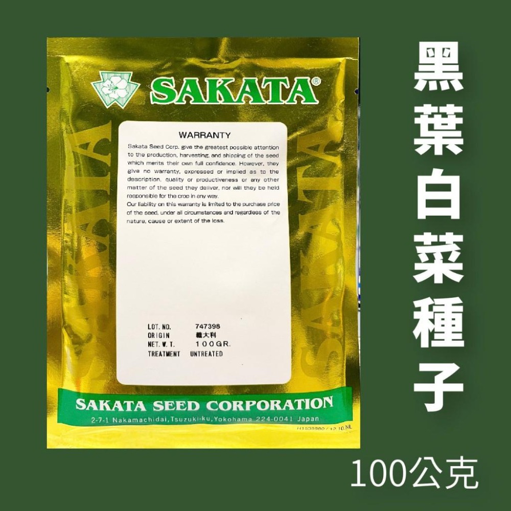 黑葉白菜種子｜專業種植｜一代交配｜專業種植｜育苗賣菜｜青梗白菜｜專作戶｜蔬菜種子｜-細節圖2