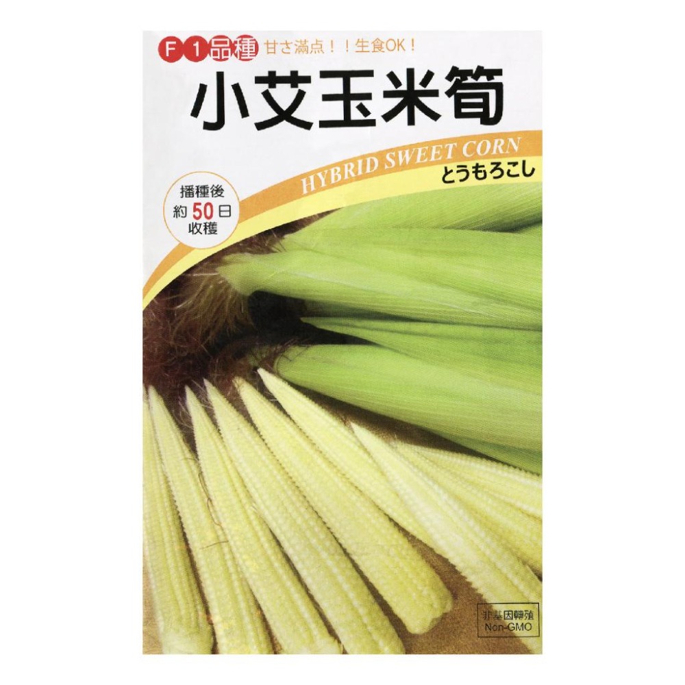 玉米筍種子｜45-50天可採收｜小愛玉米筍｜泰國產｜蔬菜專業戶｜蔬菜種子｜園藝 ｜超高發芽率｜開心農場｜-細節圖2