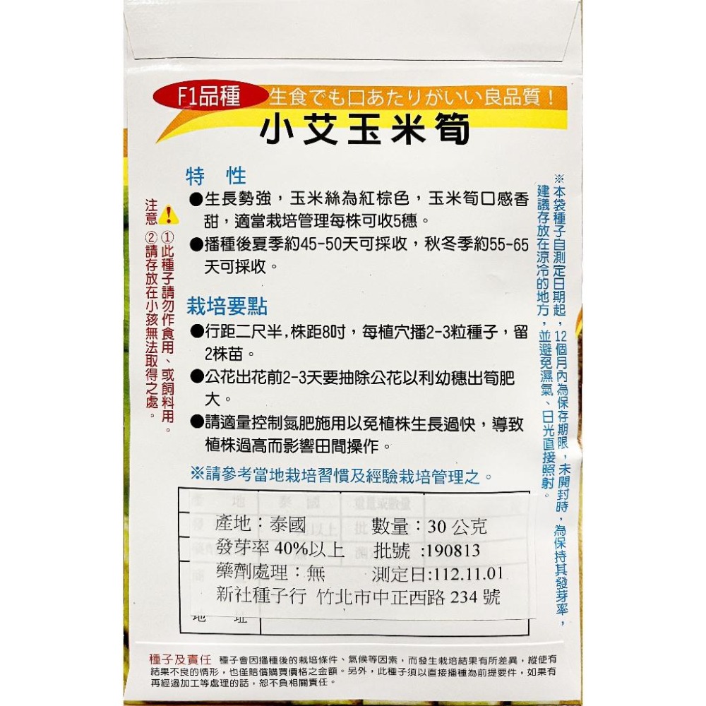 玉米筍種子｜45-50天可採收｜小愛玉米筍｜泰國產｜蔬菜專業戶｜蔬菜種子｜園藝 ｜超高發芽率｜開心農場｜-細節圖3